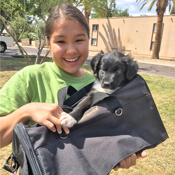 Aciana Monasterial, agility instructor at Good Dog Agility Club in Chandler, AZ