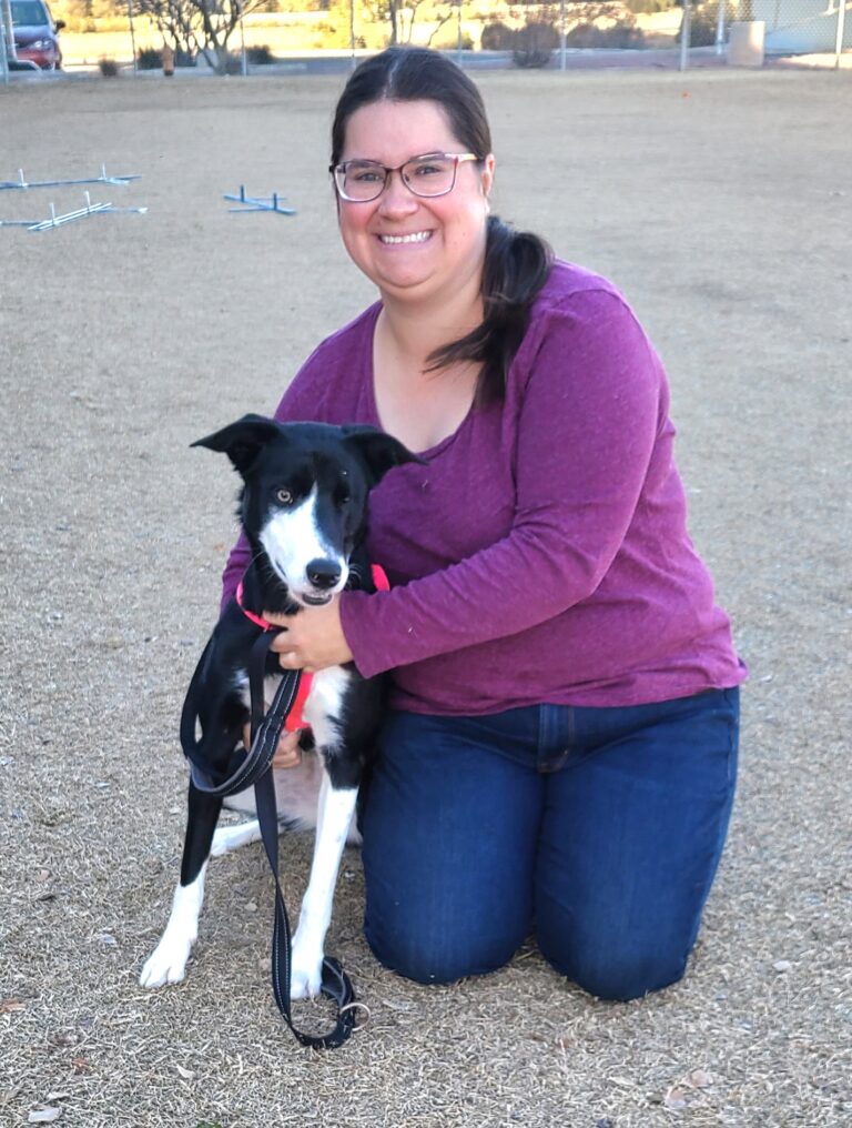 About Good Dog Agility Club