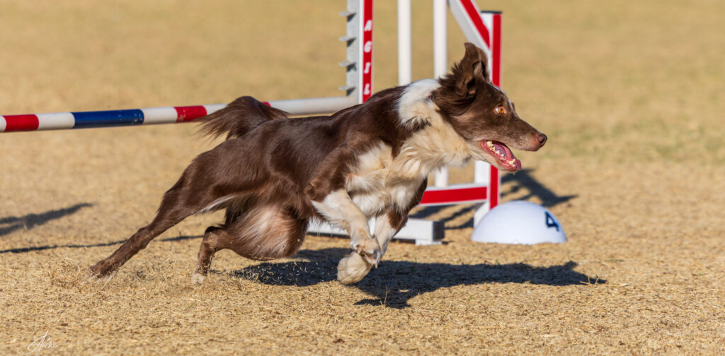 GDA USDAA 022225 0514 scaled e1754593753302