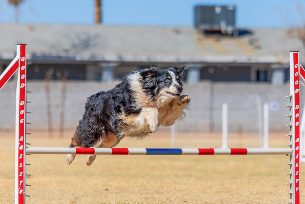 GDA USDAA 022225 1038 scaled 1