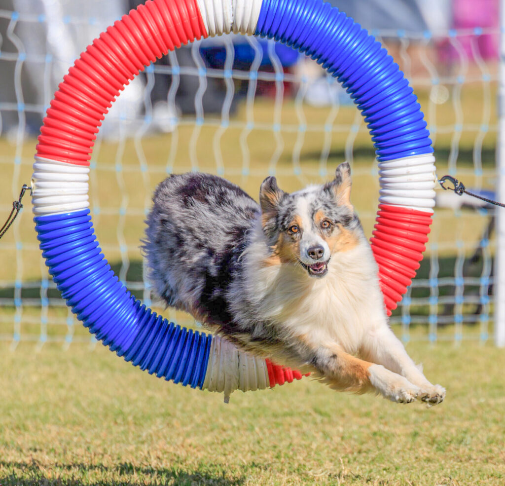 GDA USDAA 110224 1133 scaled e1754597612614 1